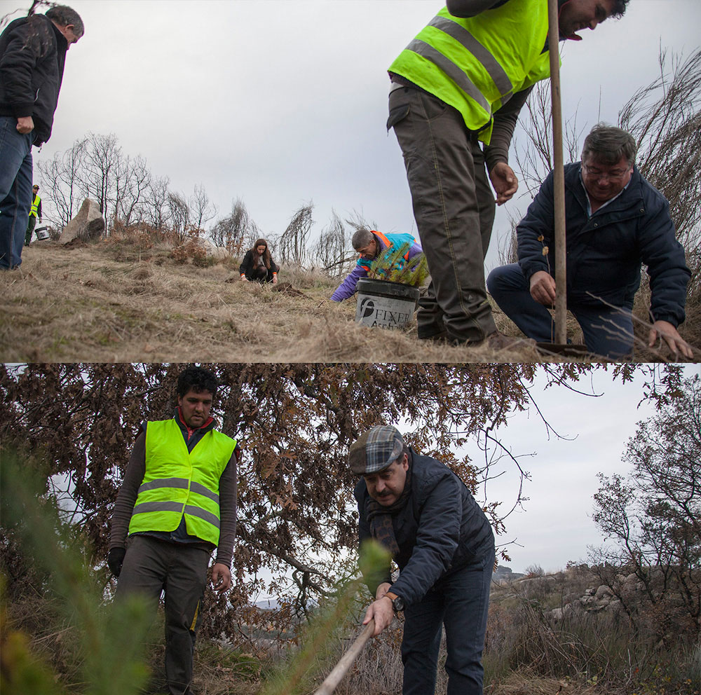 MUNICÍPIO DE VILA REAL VOLTA A ADERIR AO PROGRAMA FLORESTA COMUM