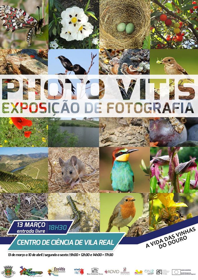 EXPOSIÇÃO PHOTO VITIS | 13 DE MARÇO A 10 DE ABRIL NO CENTRO DE CIÊNCIA DE VILA REAL