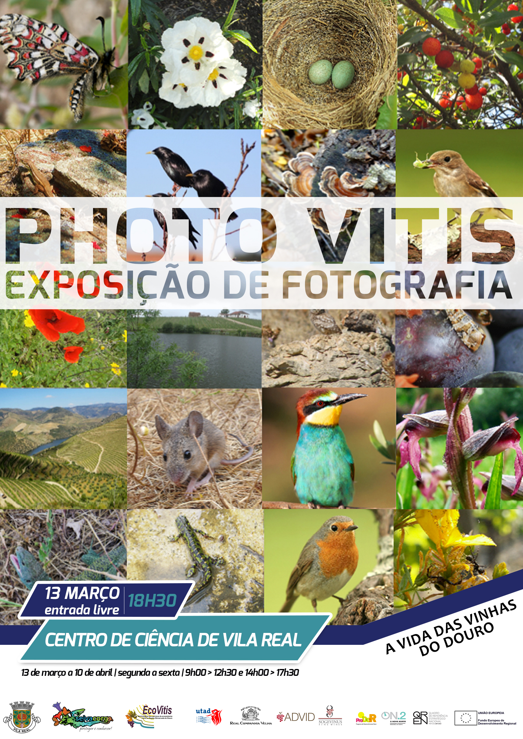 Exposição retrata a biodiversidade das vinhas do Douro