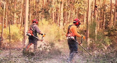 Ação de Gestão de Combustíveis no âmbito da Diretiva Única de Prevenção e Combate