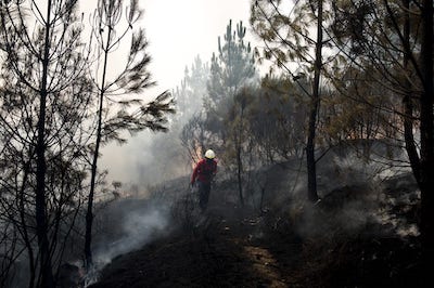 LANÇADO CONCURSO PARA A REALIZAÇÃO DO PROJETO DE ESTABILIZAÇÃO DE EMERGÊNCIA APÓS INCÊNDIO DA ÁREA ARDIDA DE 2017 NAS UF DE BORBELA E LAMAS D’OLO E ADOUFE E VILARINHO DE SAMARDÂ