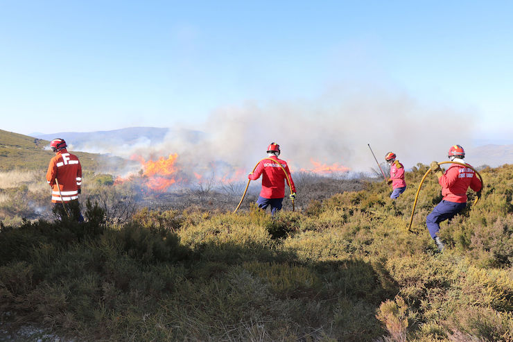 MUNICÍPIO DE VILA REAL E BOMBEIROS PROMOVEM AÇÃO PREVENTIVA DE FOGOS FLORESTAIS