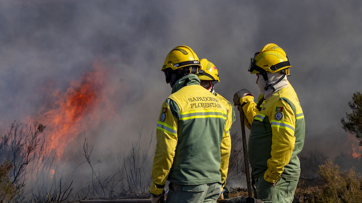 Município de Vila Real promove ação de fogo controlado