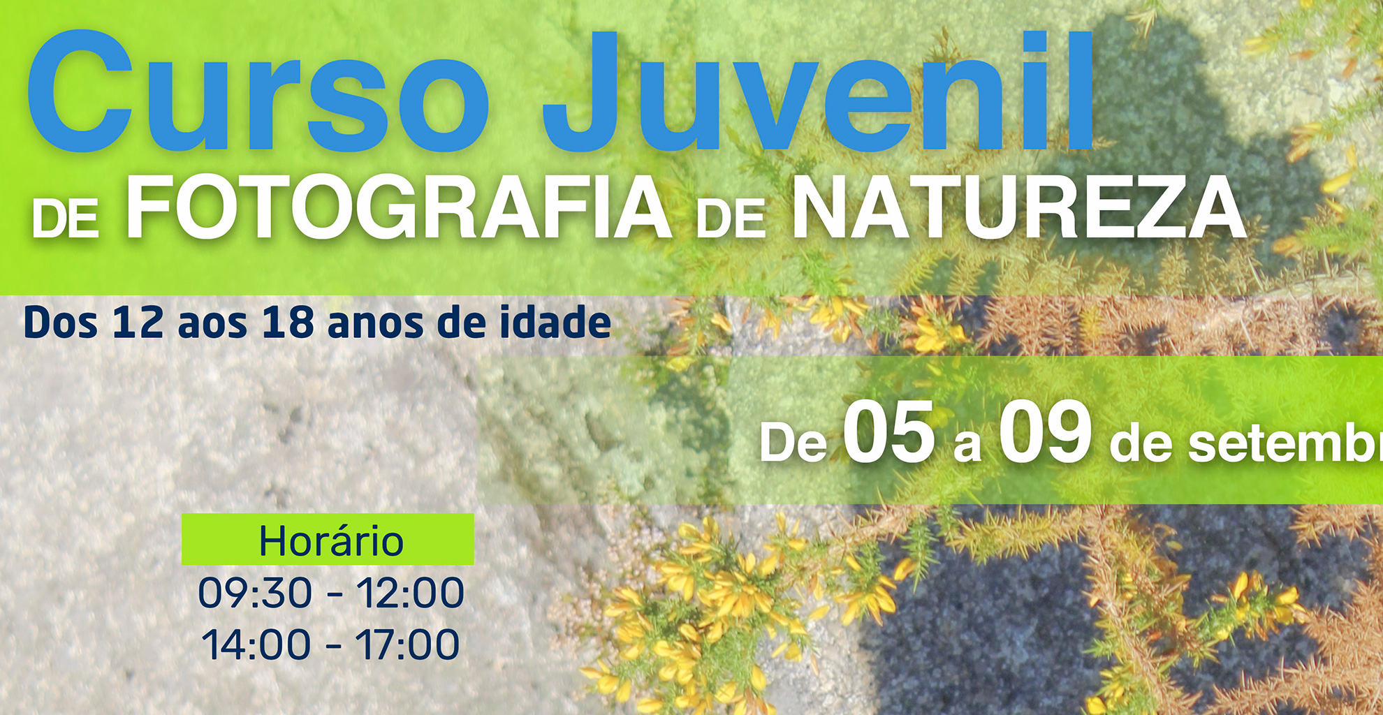 FIIN’22 - Curso juvenil de Fotografia de Natureza