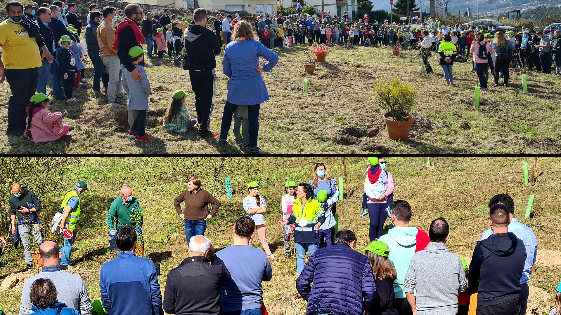 MUNICÍPIO E QUERCUS PROMOVERAM PLANTAÇÃO DE ÁRVORES AUTÓCTONES 