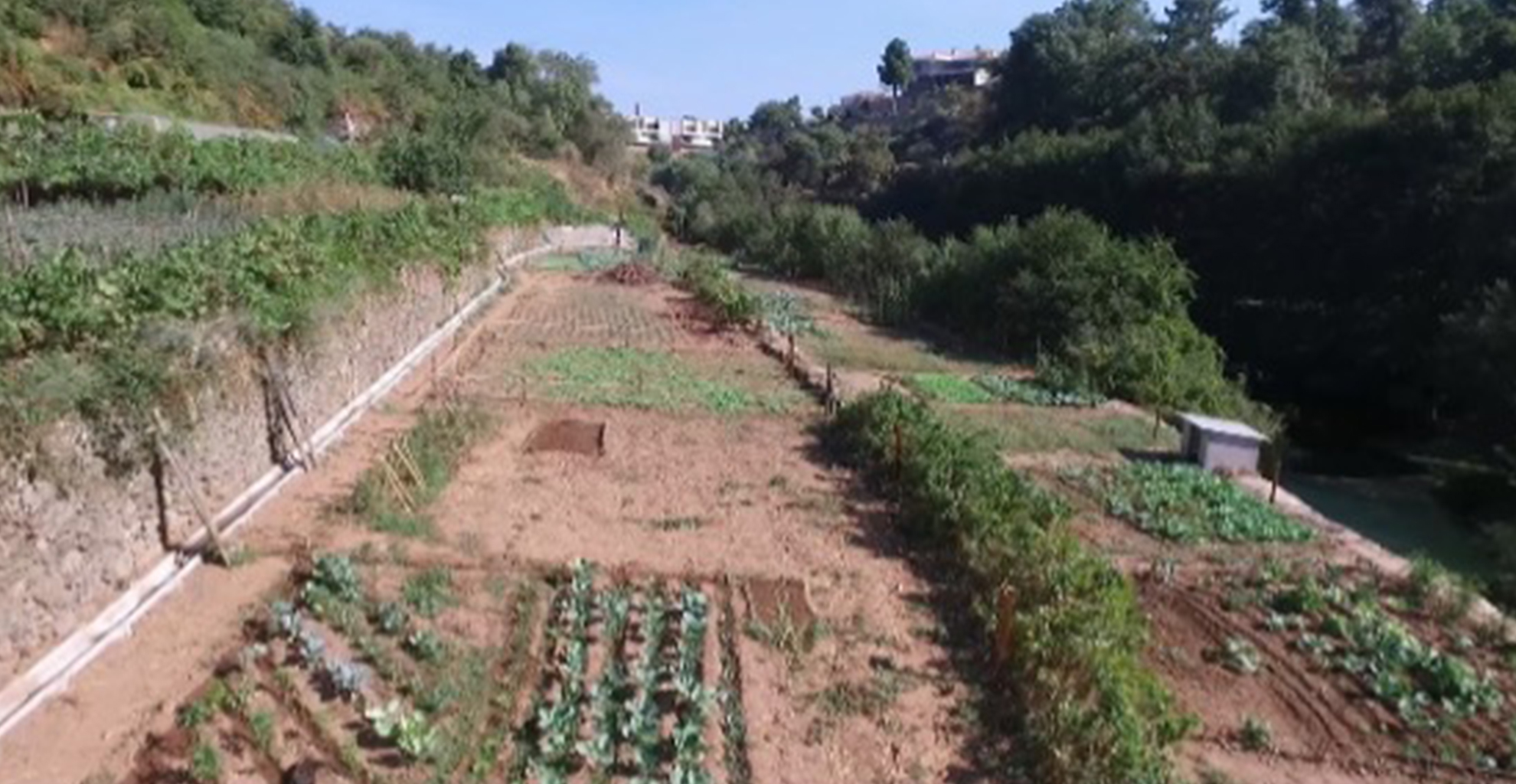 Abertura de procedimento para entrega de talhão das Hortas Urbanas