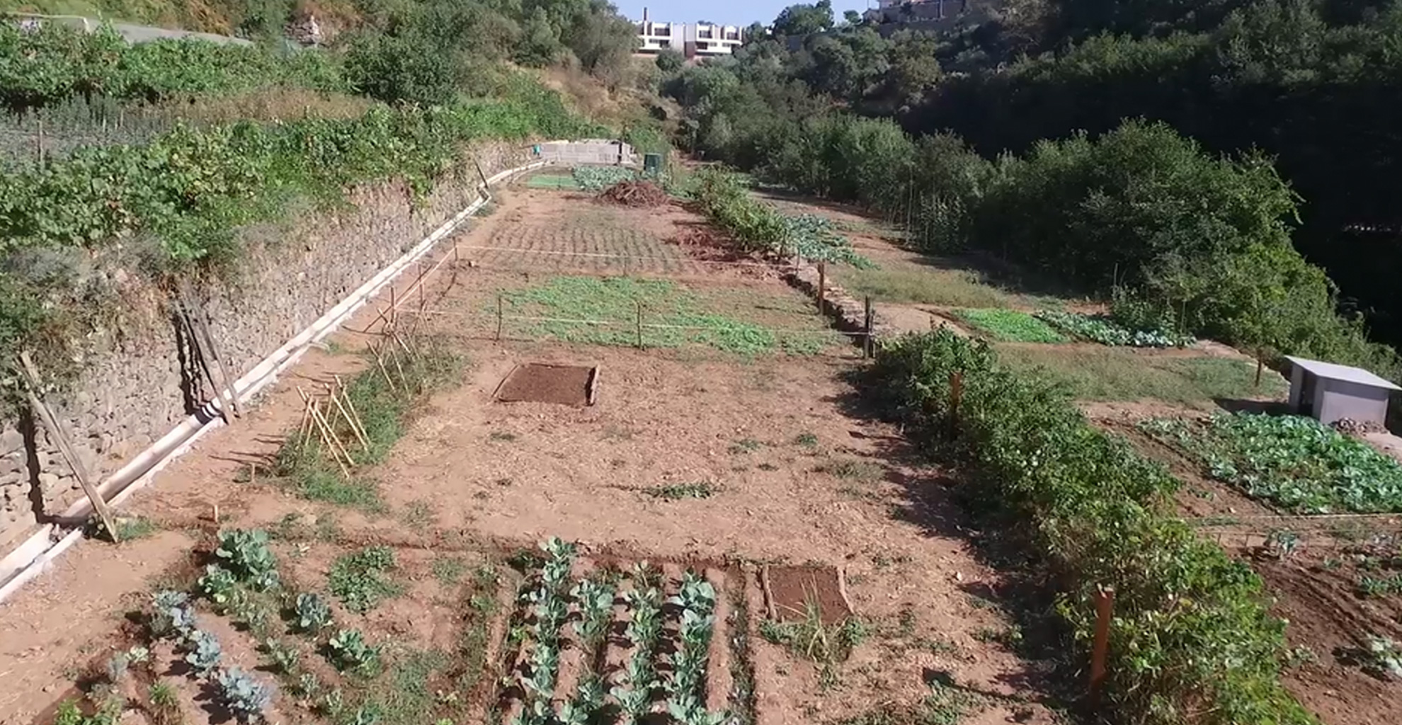 ABERTURA DE PROCEDIMENTO PARA ENTREGA DE TALHÃO DAS HORTAS URBANAS